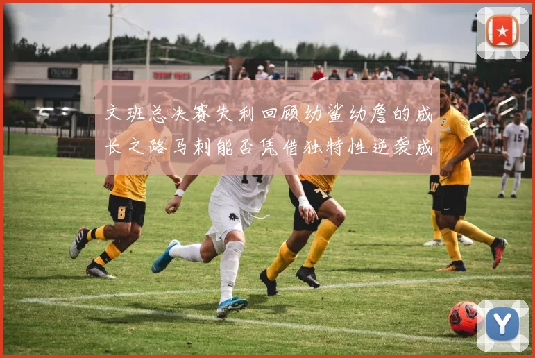 文班总决赛失利回顾幼鲨幼詹的成长之路马刺能否凭借独特性逆袭成功