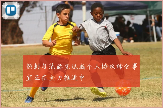 热刺与范赫克达成个人协议转会事宜正在全力推进中